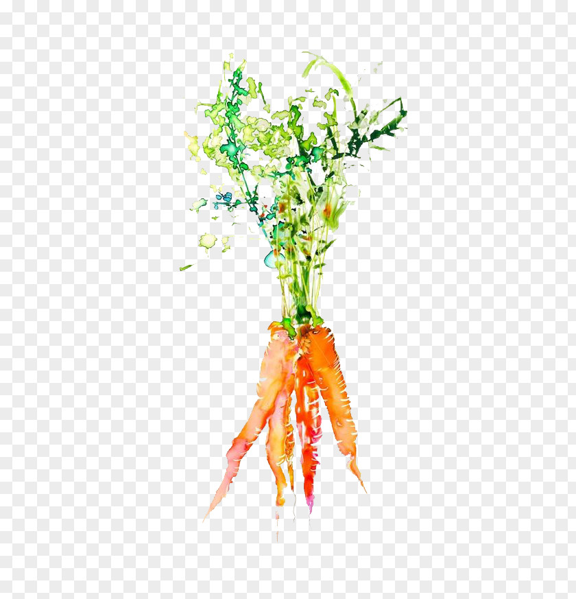 Carrot Watercolor Painting Vegetable Graphic Design Illustration PNG