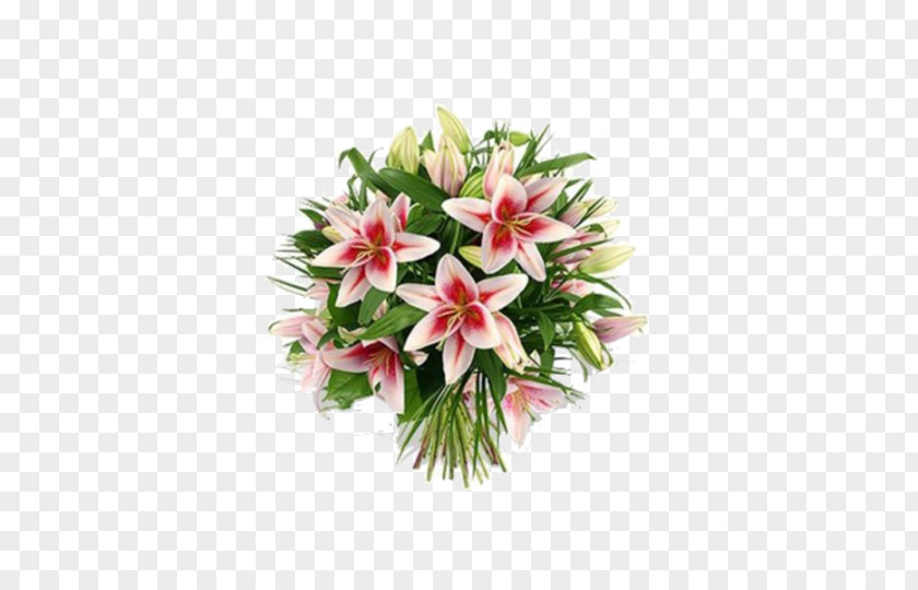 Flower Cut Flowers Lilium Candidum Delivery Bouquet PNG