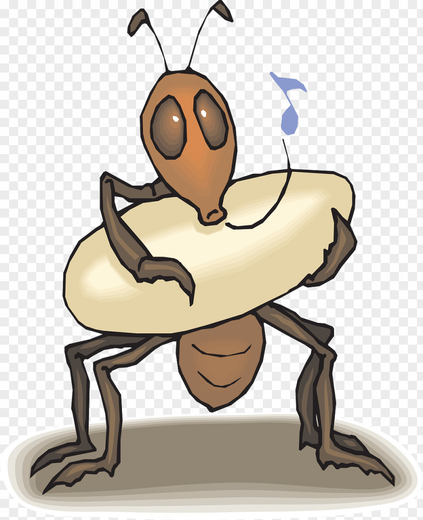 Hard Brown Ants Anteater Queen Ant Clip Art PNG