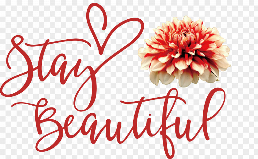 Stay Beautiful Fashion PNG