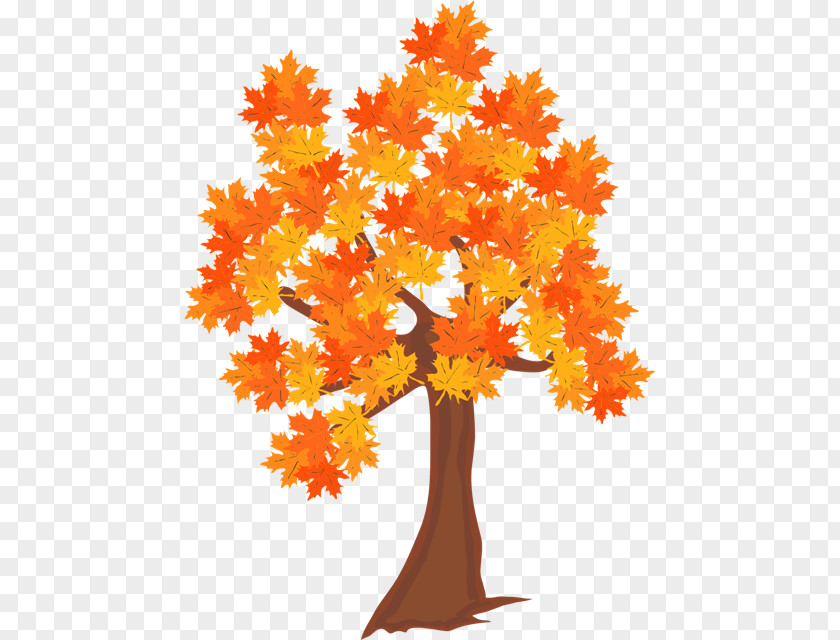 Tree Forest Autumn Leaf Clip Art PNG