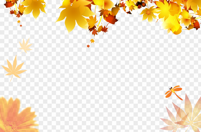 Autumn Leaves Poster Maple Leaf PNG
