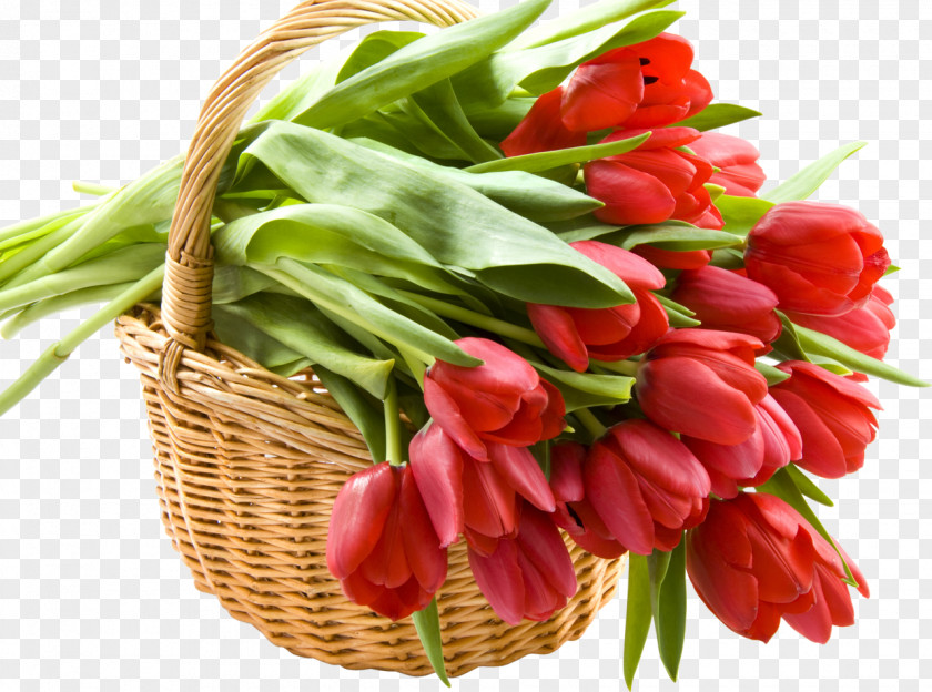 Good Morning Cut Flowers Basket Tulip Flower Bouquet PNG