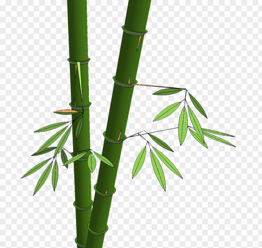 Hsinchu Bamboo Material Shoot PNG