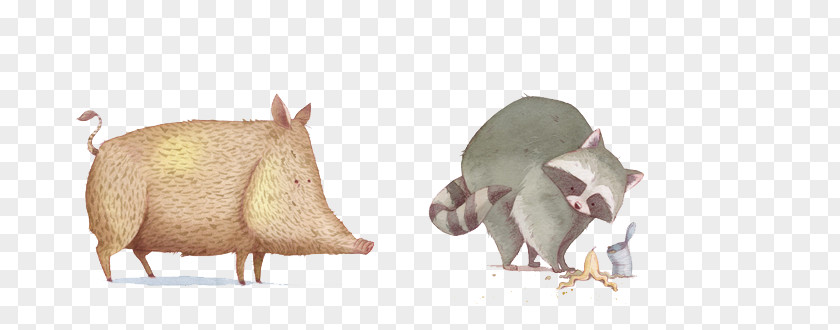 Poor Raccoon Hand-painted Wild Boar Cartoon Illustration PNG