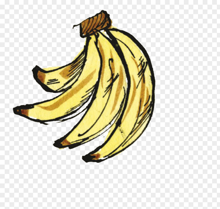 Banana Illustration Clip Art Commodity Carnivores PNG