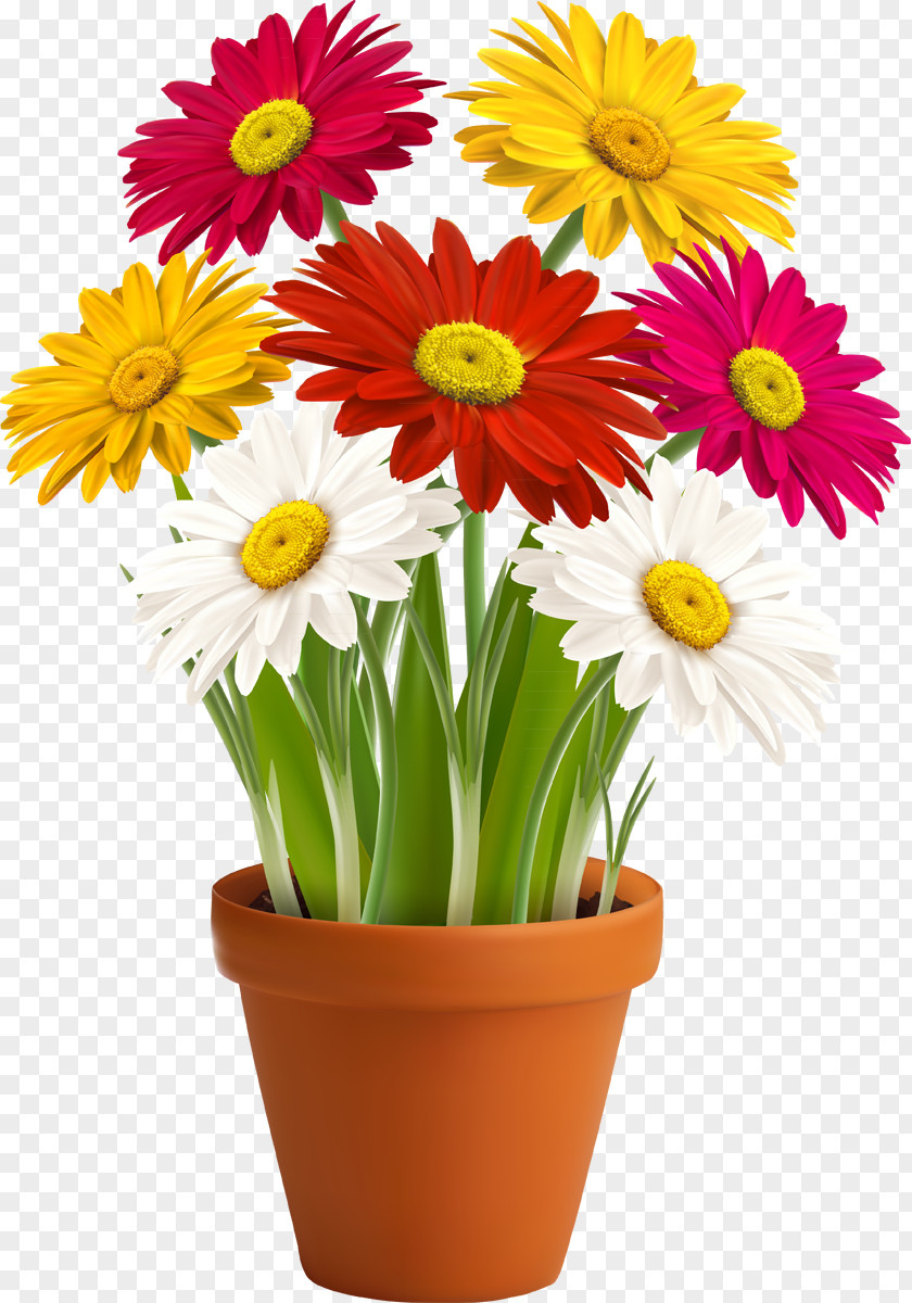 Chamomile Flowerpot Vase Houseplant PNG