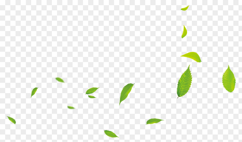 Floating Leaves PNG leaves clipart PNG