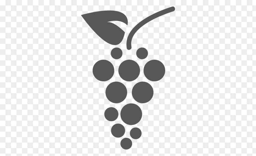 Grape Vector Winery Saperavi PNG