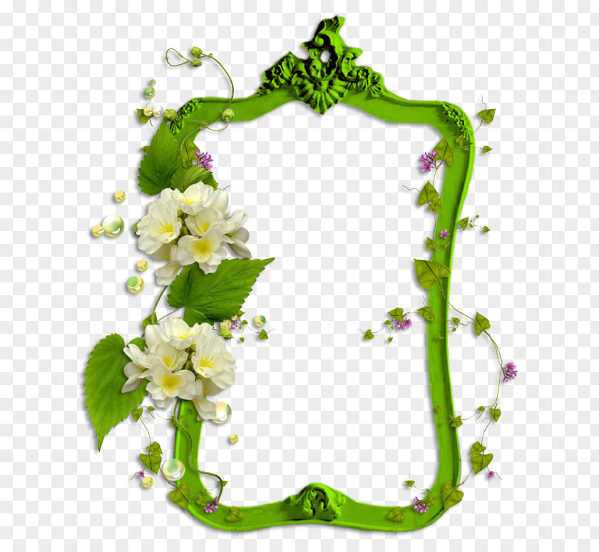 Green Frame Picture Frames Photography Image Clip Art PNG