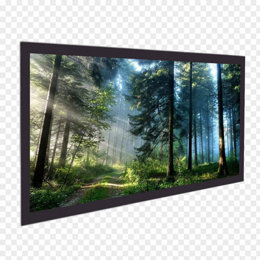 Desktop Wallpaper Mobile Phones Display Resolution Download Wood PNG