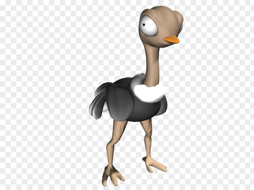 Ostrich Common Duck Bird Cartoon PNG
