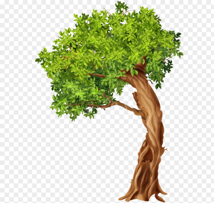 Tree Stone Pine Blog Clip Art PNG