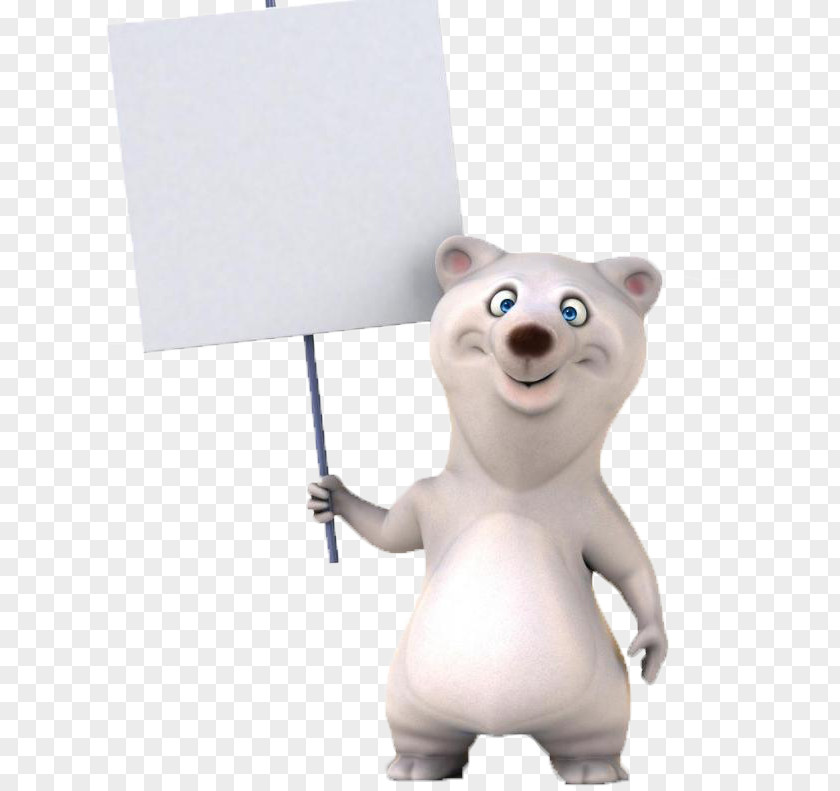 White Bear Animal Photography Illustration PNG