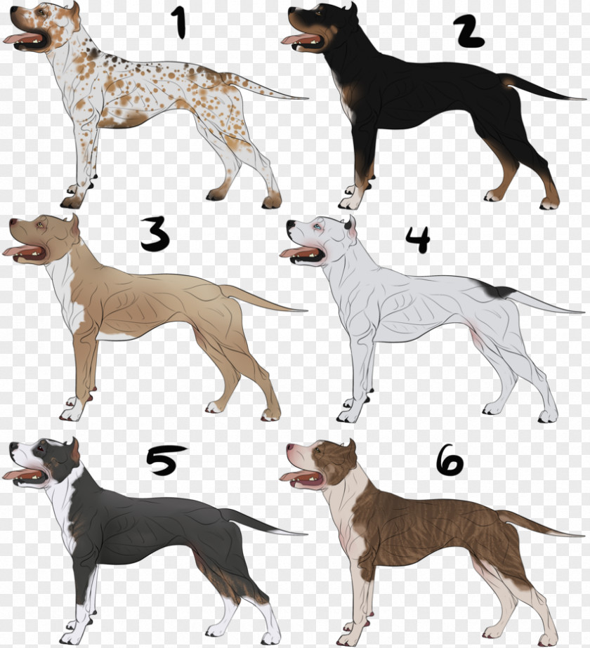 American Bully Lurcher Italian Greyhound Whippet Spanish PNG