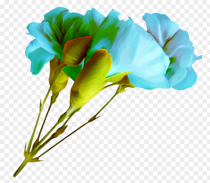 Cut Flowers Blue Floral Design Petal PNG
