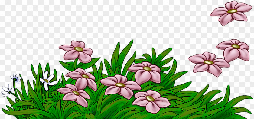 Flower Plant Pink Grass Petal PNG