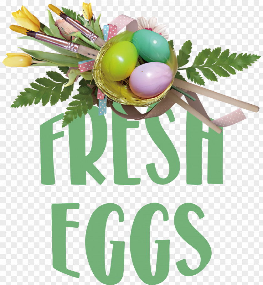 Fresh Eggs PNG