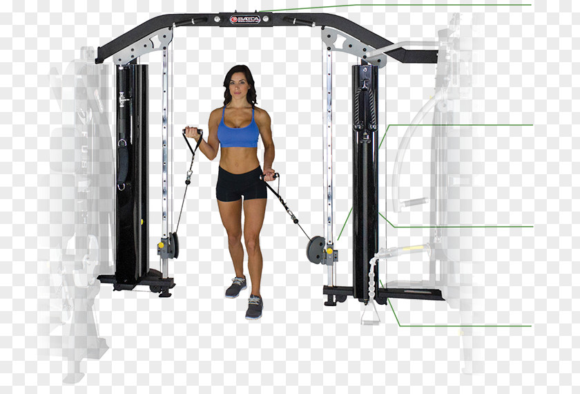 Functional Fitness Products Training Physical Centre Exercise Bench PNG