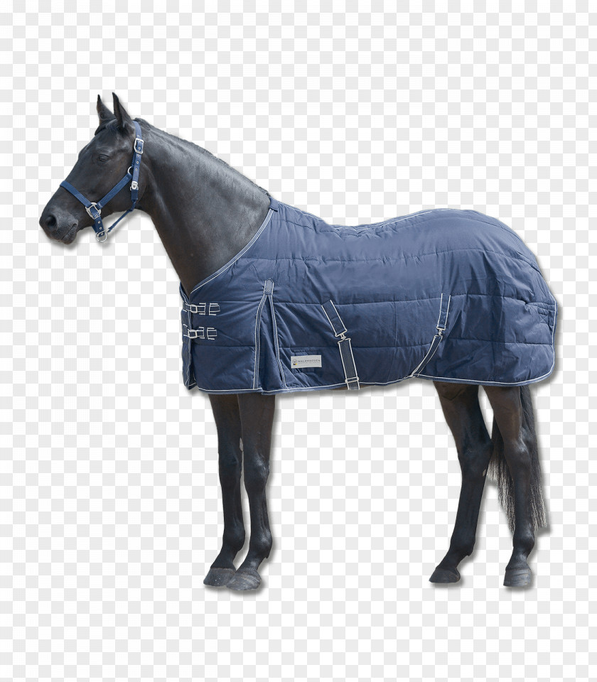 Horse Blanket Equestrian Stable PNG