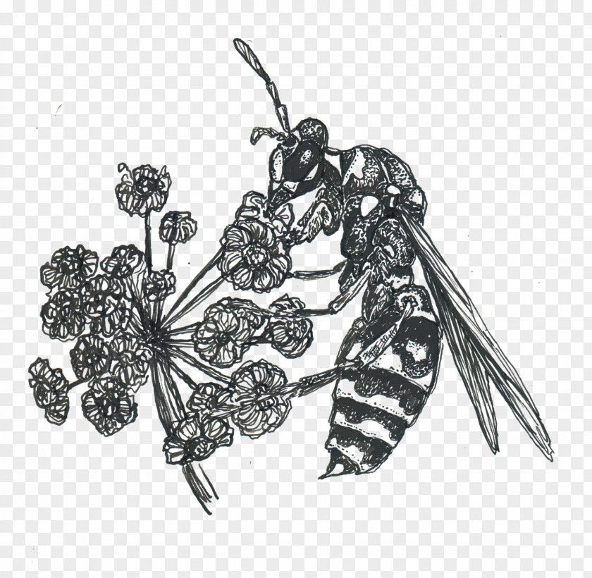 Insect Body Jewellery White PNG