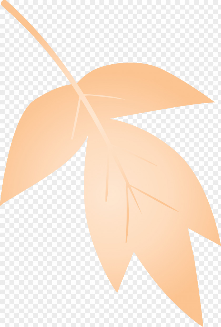 Leaf Line Logo Tree Plant PNG