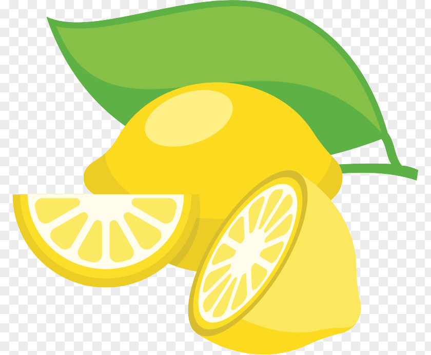 Leaf Plant Citrus Yellow Lemon Fruit Clip Art PNG