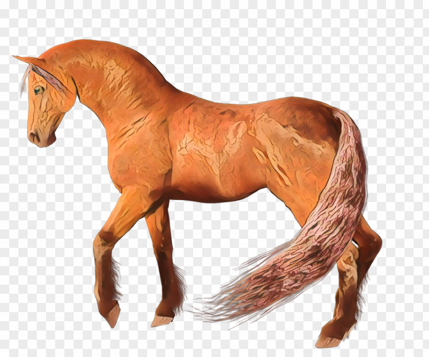 Neck Livestock Horse Cartoon PNG