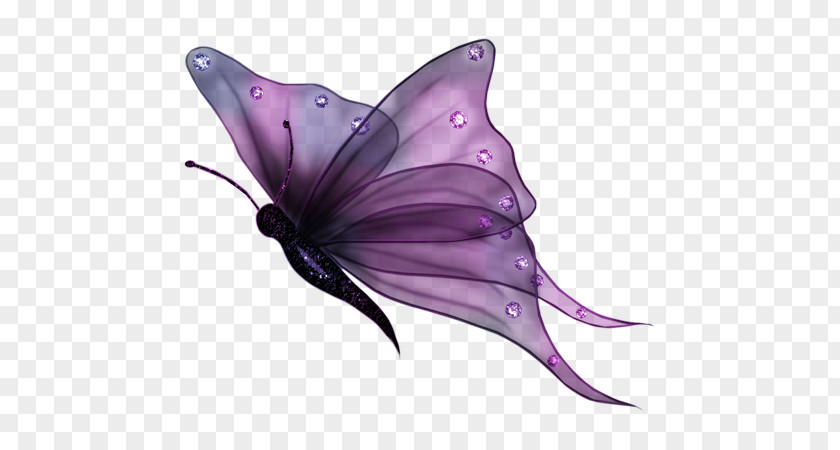 Papillon Violet Full-Color Decorative Butterfly Illustrations Clip Art Transparency PNG