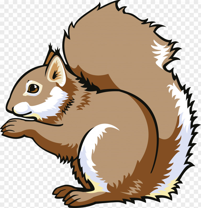 Squirrel Eastern Chipmunk Tree Squirrels Clip Art PNG