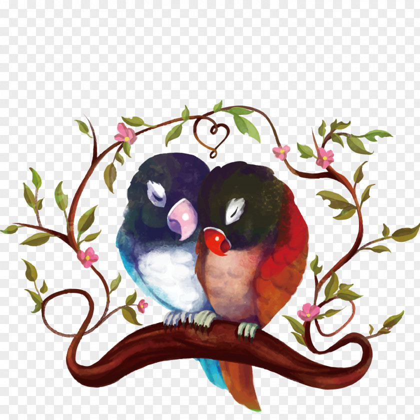 Watercolor Birds Bird Parrot Painting Clip Art PNG