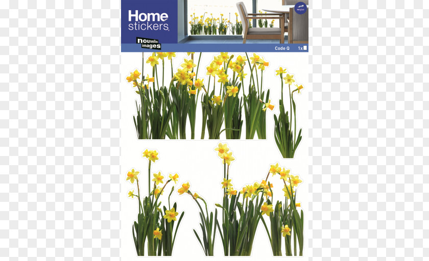 Window Sticker Wild Daffodil Decal Vitre PNG
