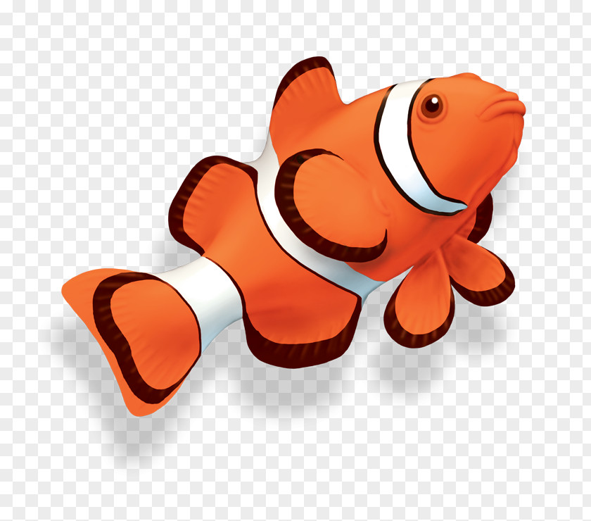 Cuttlefish Clip Art Clownfish Openclipart Vector Graphics PNG