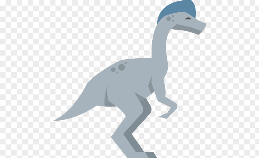 Dinosaur Vector Oviraptor Tyrannosaurus Velociraptor Ankylosaurus PNG