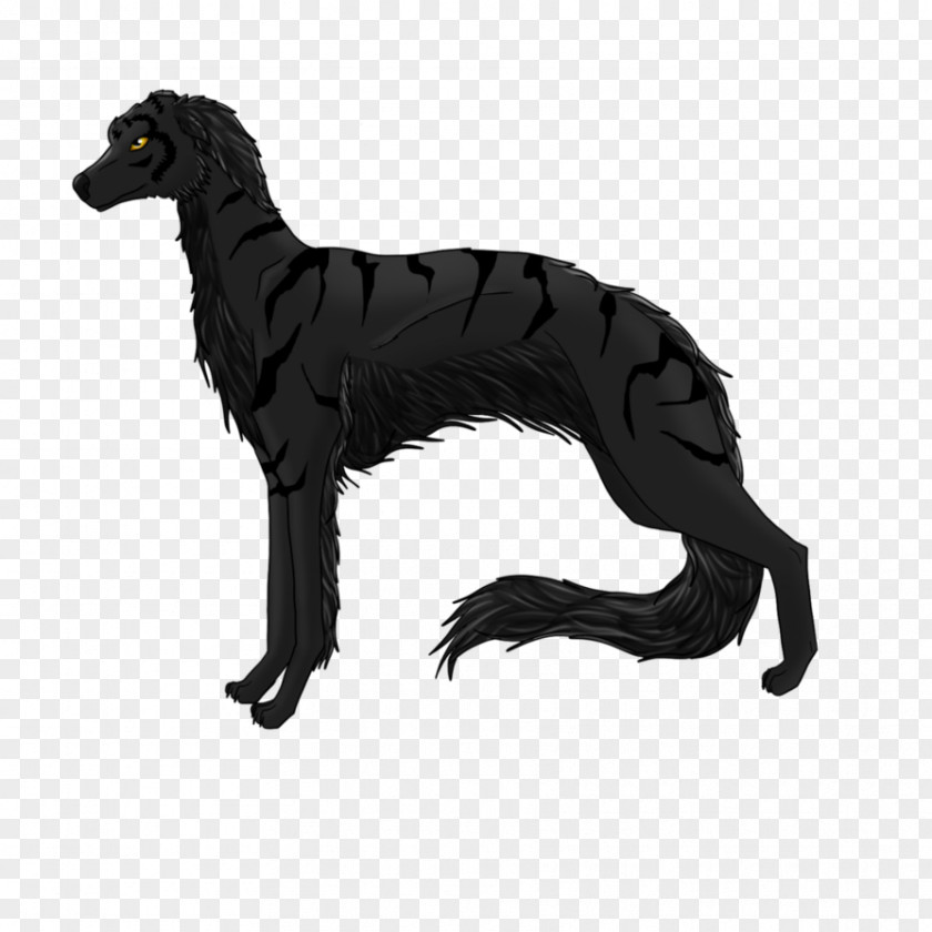 Hounds Of Love Dog Breed Italian Greyhound PNG