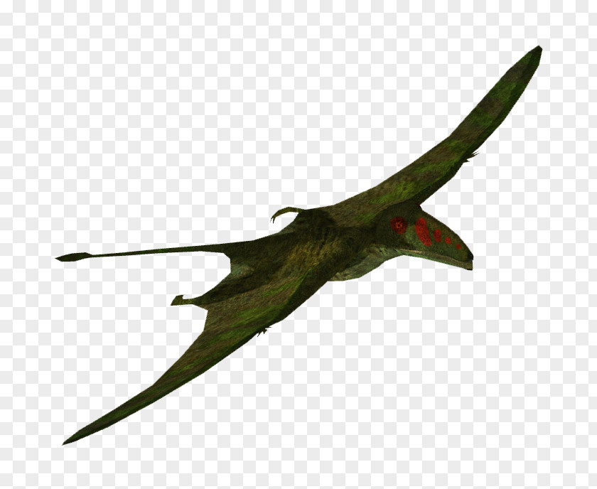 Jurassic World Zoo Tycoon 2 Dimorphodon Pterosaurs Stegosaurus Ankylosaurus PNG