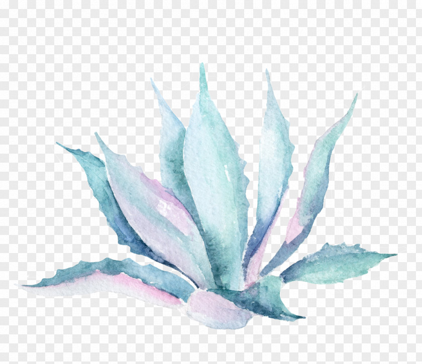 Perennial Plant Aloe Watercolor Flower Background PNG
