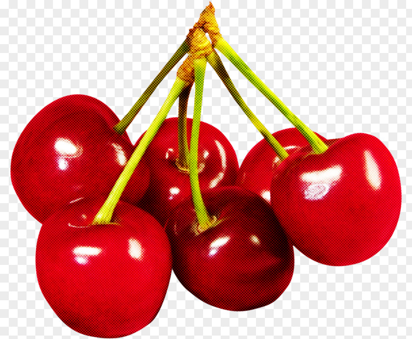Tree Flower Natural Foods Cherry Fruit Plant Food PNG