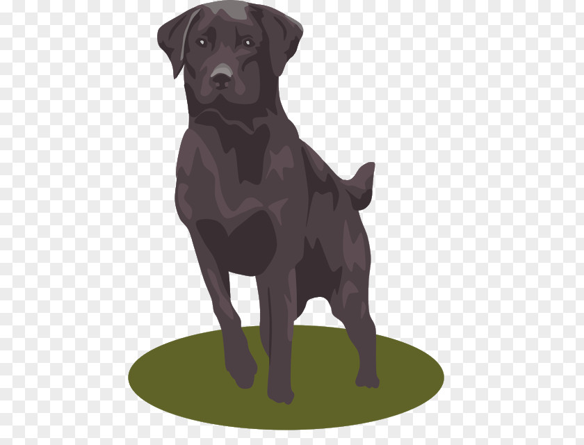 Labrador Retriever Clip Art Openclipart Vector Graphics Free Content PNG