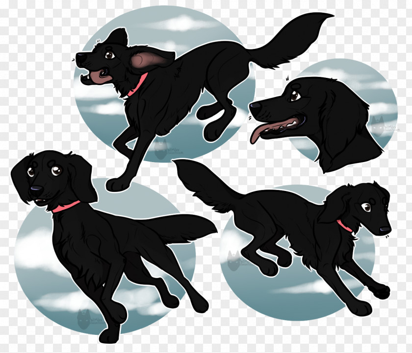 Money Floating Labrador Retriever Dog Breed Sporting Group PNG