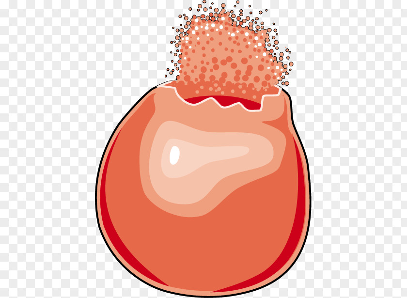 Red Blood Cell Lysis PNG