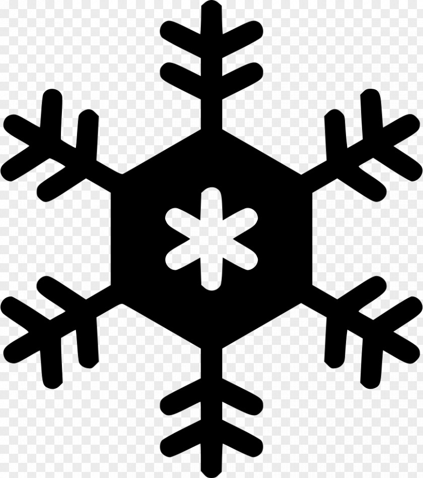 Snowflake Vector Graphics Clip Art Image PNG