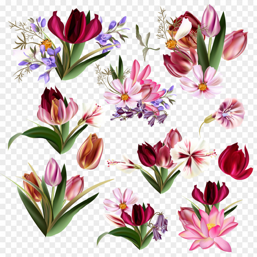 Vector Tulips Floral Design Tulip Flower PNG