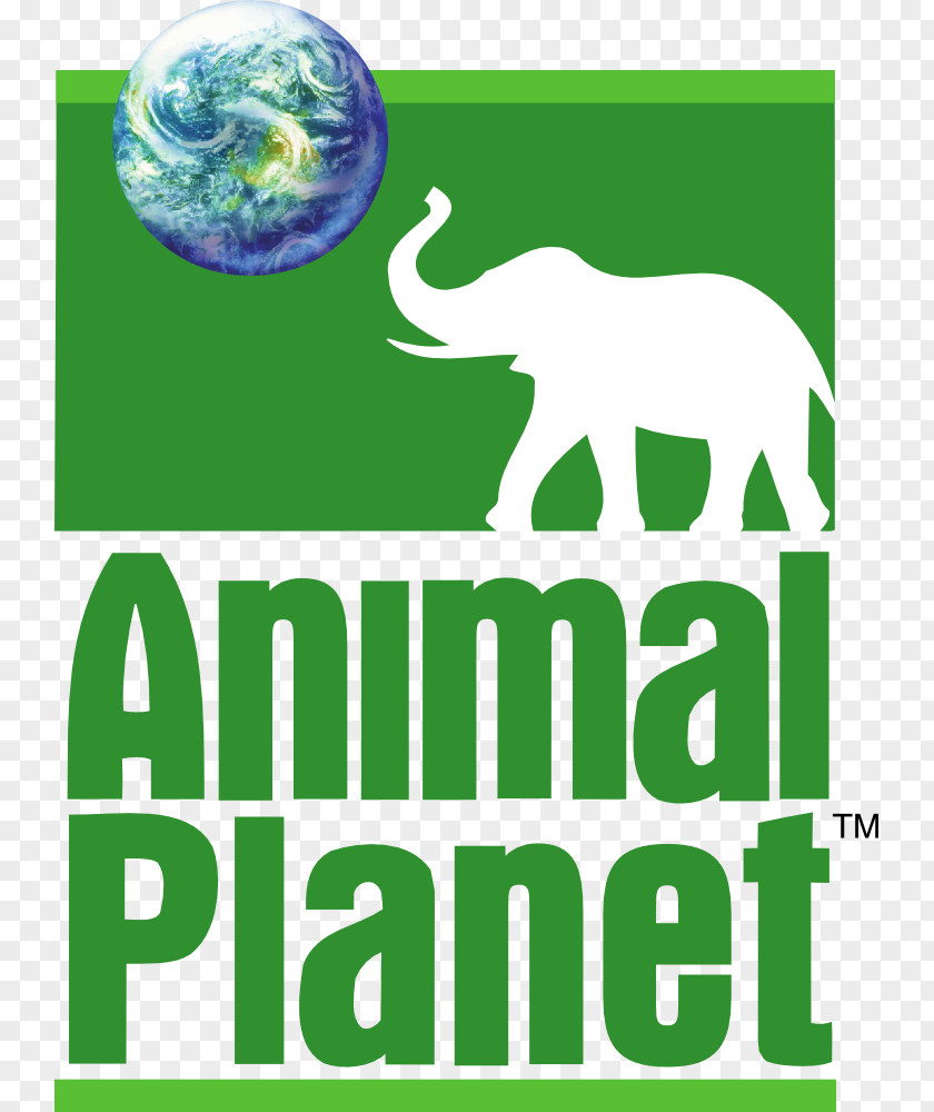 Animal Logo Planet Television Channel PNG