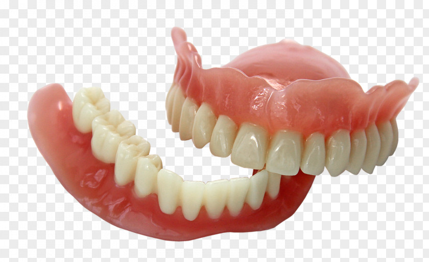 Dental 3D Printing Dentures EnvisionTEC Dentistry PNG