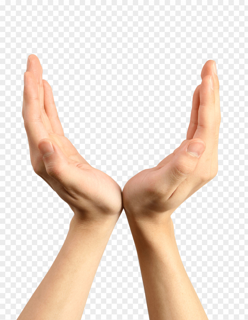 Hands Hand Image PNG