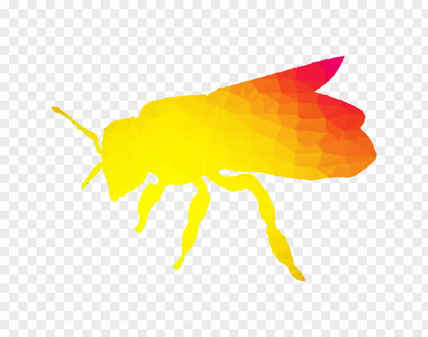 Honey Bee Yellow PNG