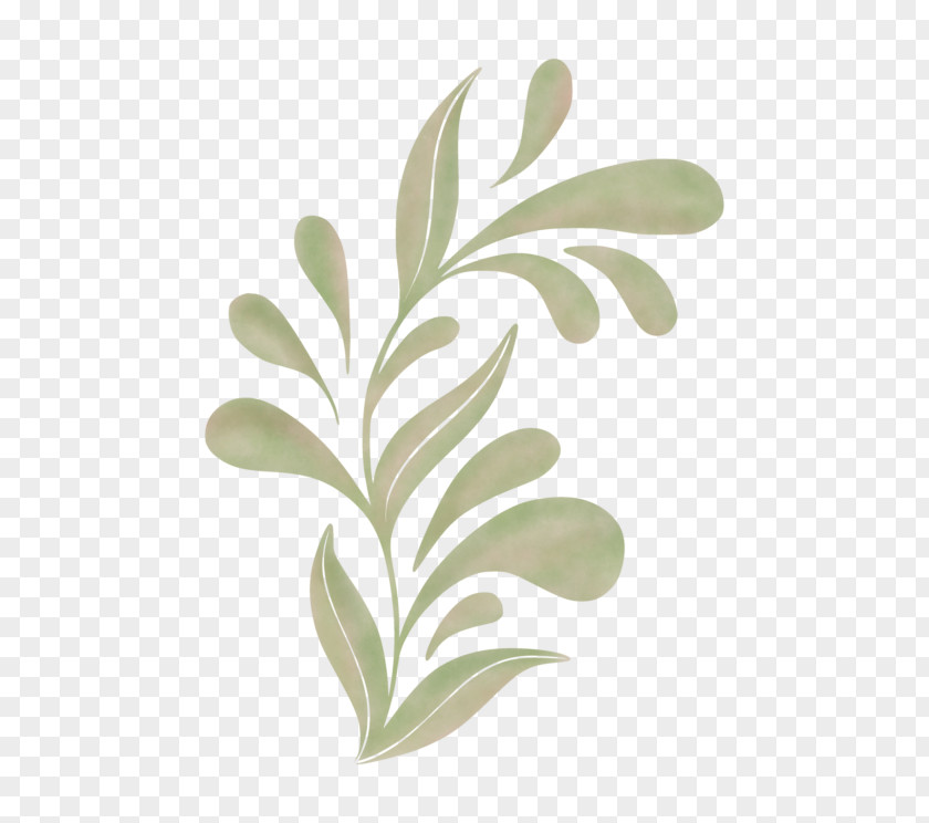 Leaves Creative Psd Branch Plant Stem Leaf Plants PNG