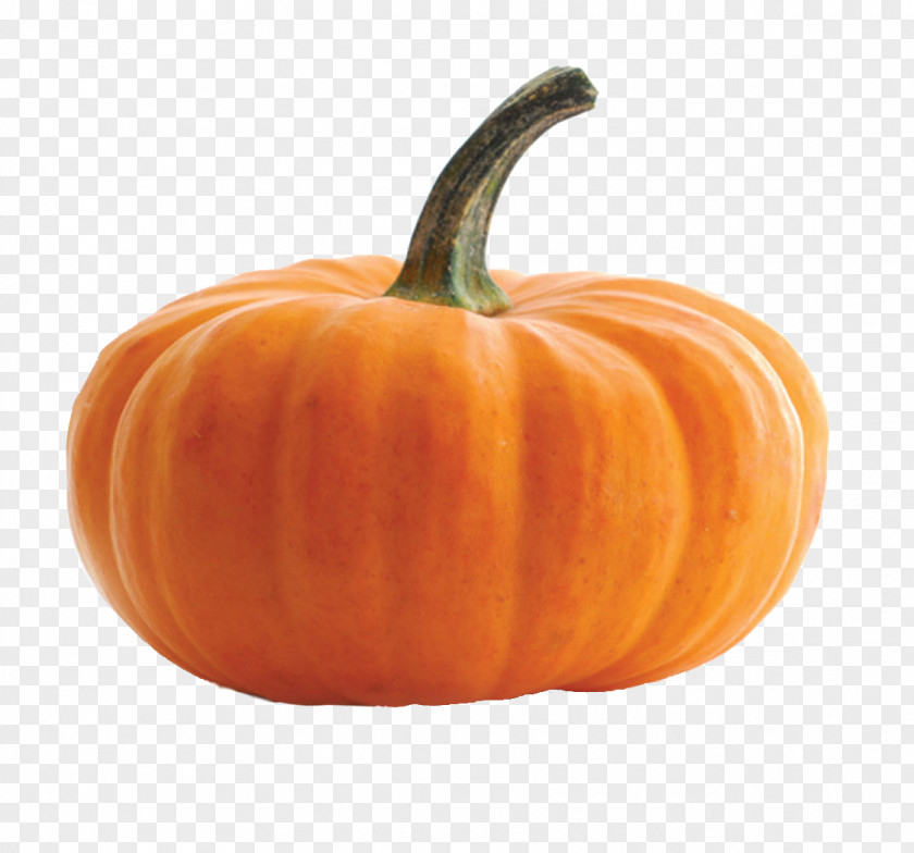 Pumpkin De Snelle Vegetarier: Verrukkelijke Recepten In Een Handomdraai Cucurbita Maxima Red Curry Pepo PNG