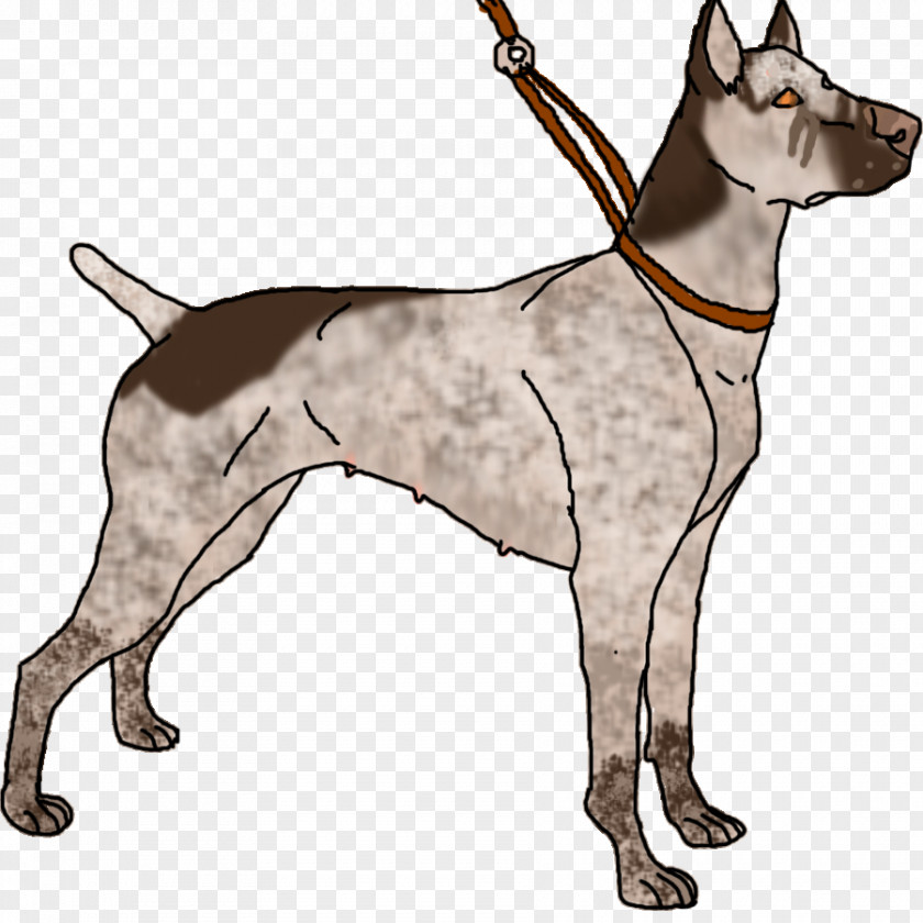 Rng Great Dane Dog Breed Leash Non-sporting Group Clip Art PNG